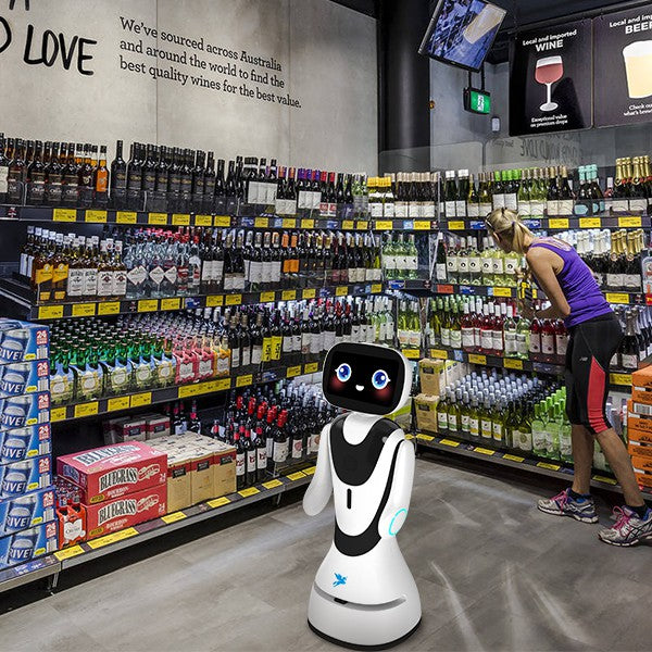 Hotel Reception Robot