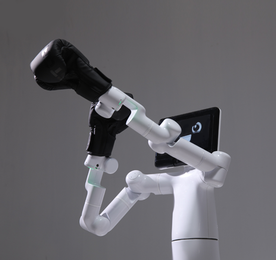 Elephant Robotics: Mercury Wheeled Humanoid Robot Series