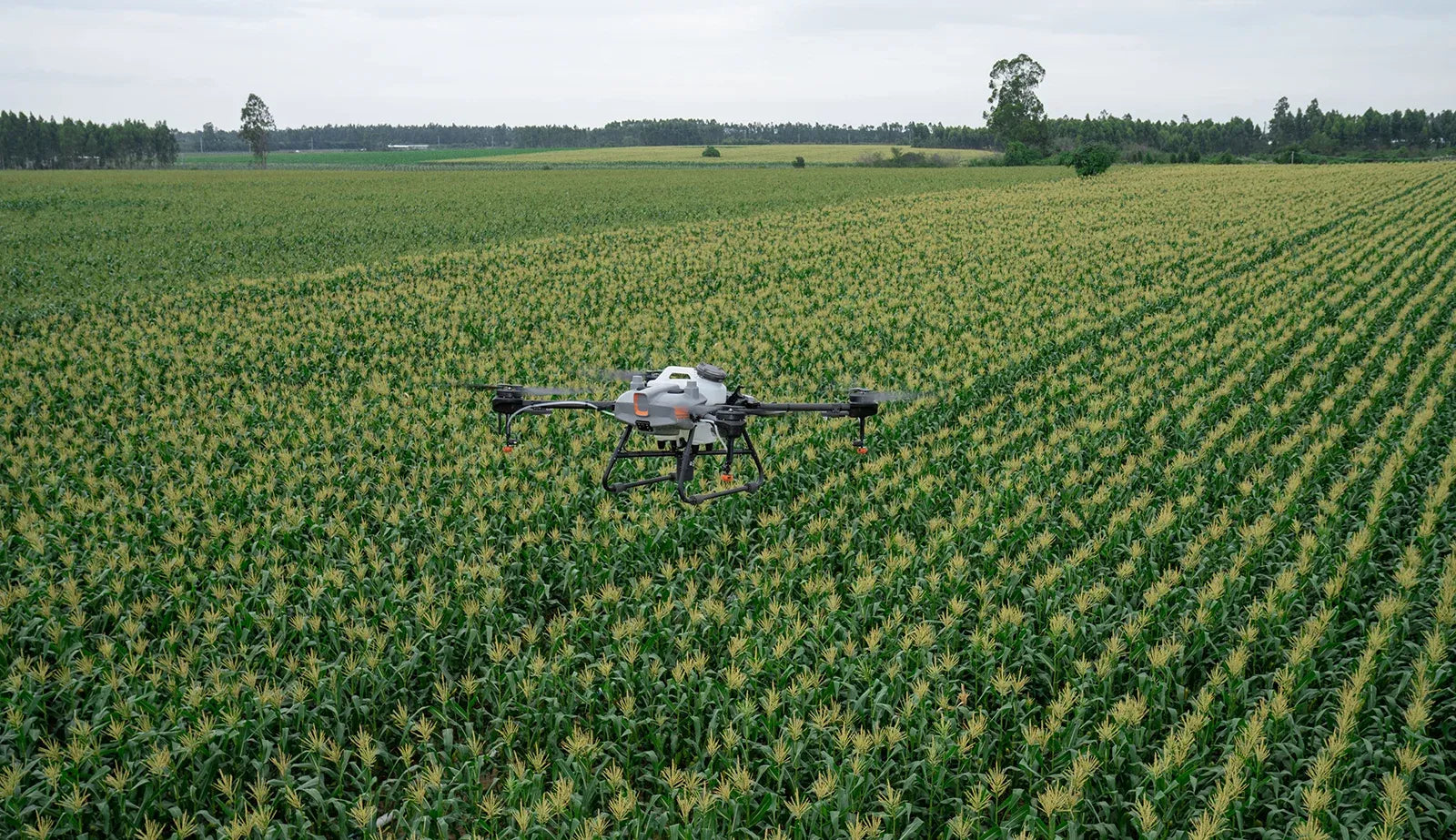 DJI Agras T10 Agricultural Sprayer Drone – 10L Tank, RTK Positioning & Obstacle Avoidance