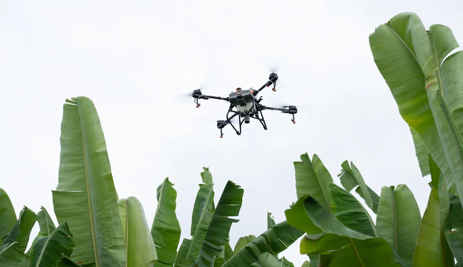 DJI Agras T10 Agricultural Sprayer Drone – 10L Tank, RTK Positioning & Obstacle Avoidance