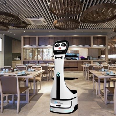 https://www.alpharobotics.ai/uploads/43002/page/small/waiter-delivery-robot14b60.jpg