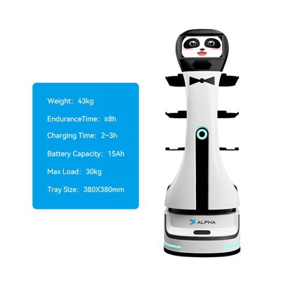 Autonomous Waiter Delivery Robot