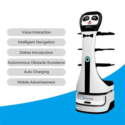 Autonomous Waiter Delivery Robot