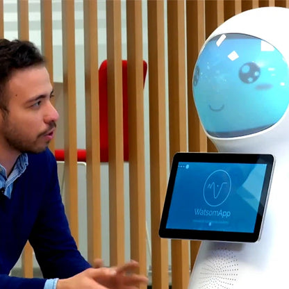 Alpha Robotics School Guide Robot Snow – AI-Powered Campus Navigation and Safety Assistant