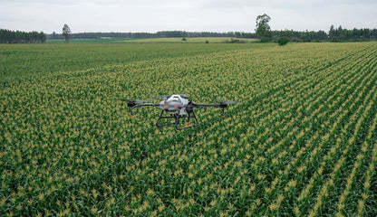DJI Agras T10 Agricultural Sprayer Drone – 10L Tank, RTK Positioning & Obstacle Avoidance