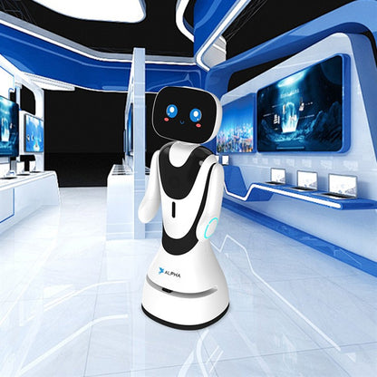 Hotel Reception Robot