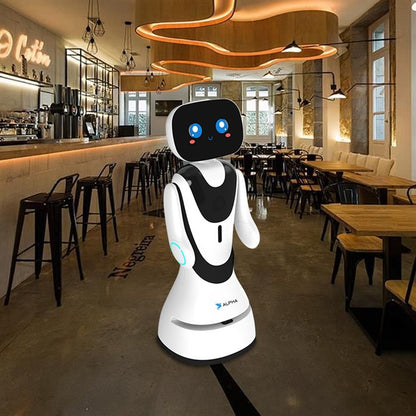 Hotel Reception Robot
